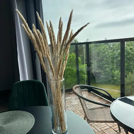 Apartment Cozy With Balcony In *