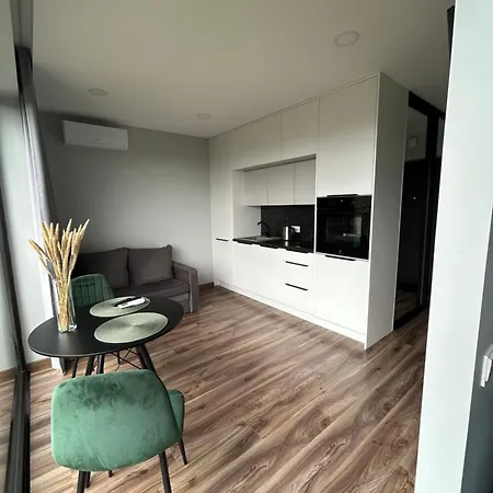 Apartment Cozy With Balcony In